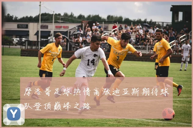 摩洛哥足球热情高涨迪亚斯期待球队登顶巅峰之路